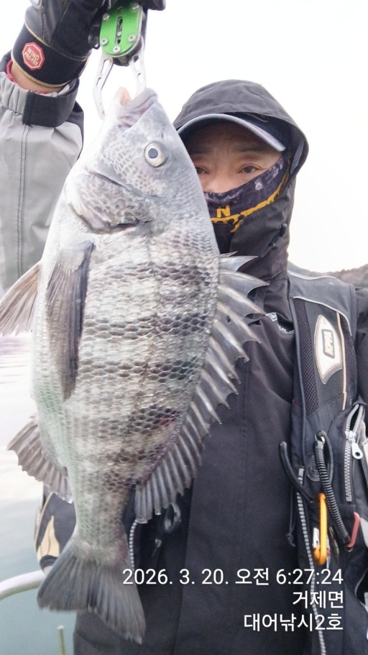 ����ڰ� �ø� �̹���