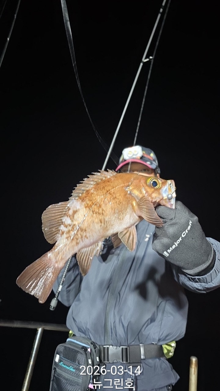 ����ڰ� �ø� �̹���