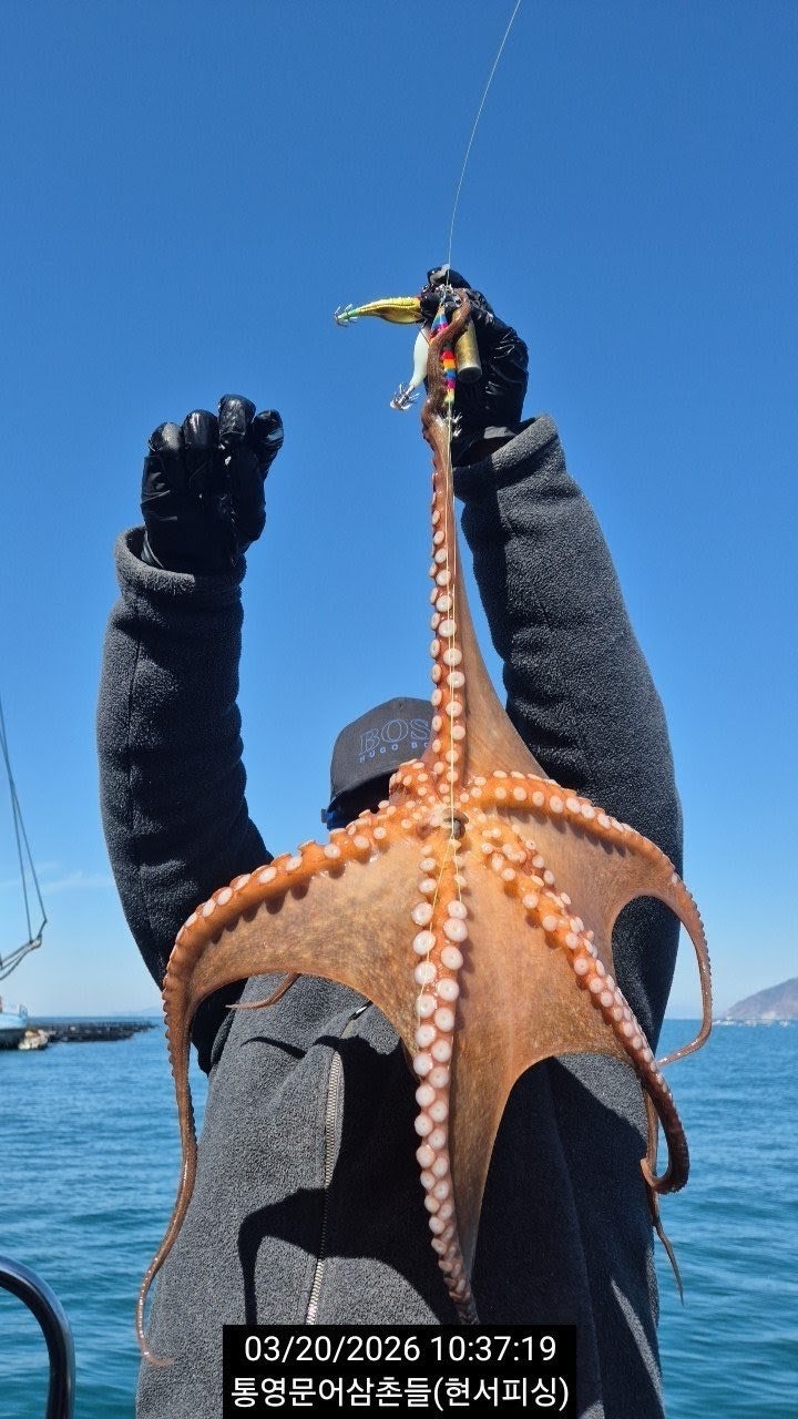 ����ڰ� �ø� �̹���