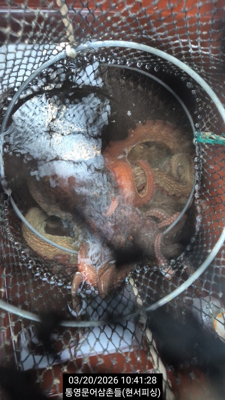 ����ڰ� �ø� �̹���