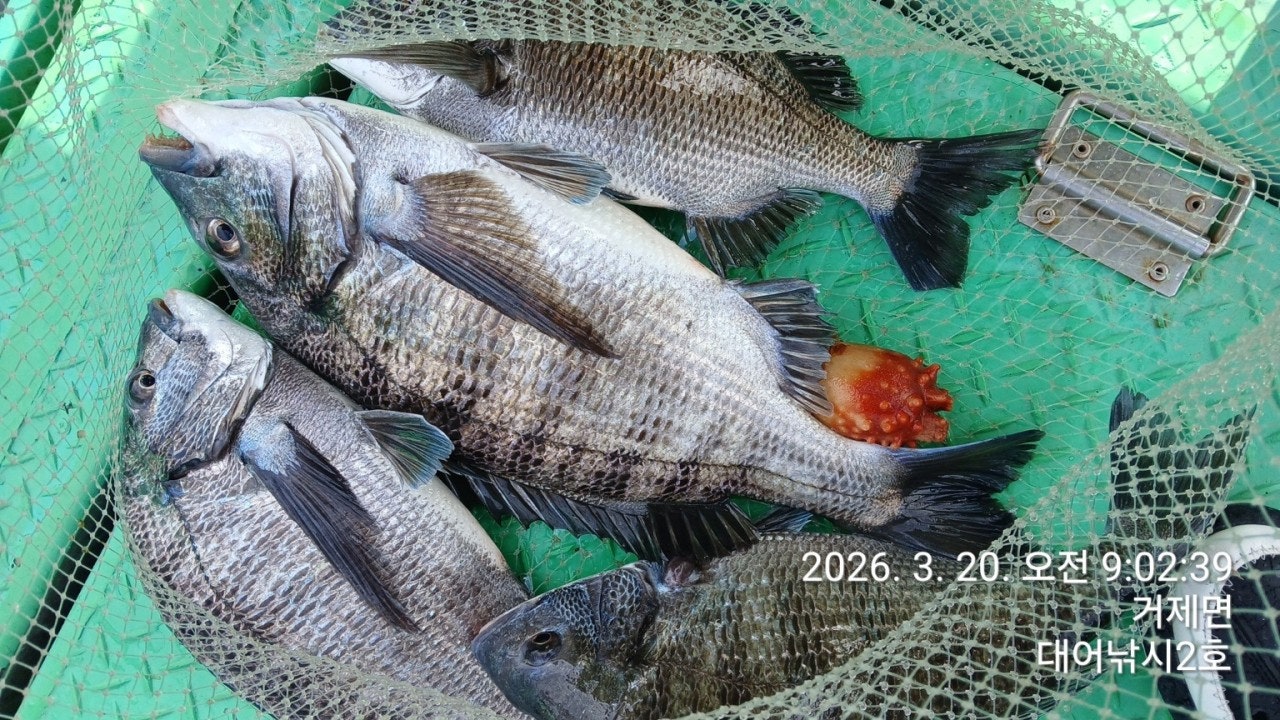 ����ڰ� �ø� �̹���