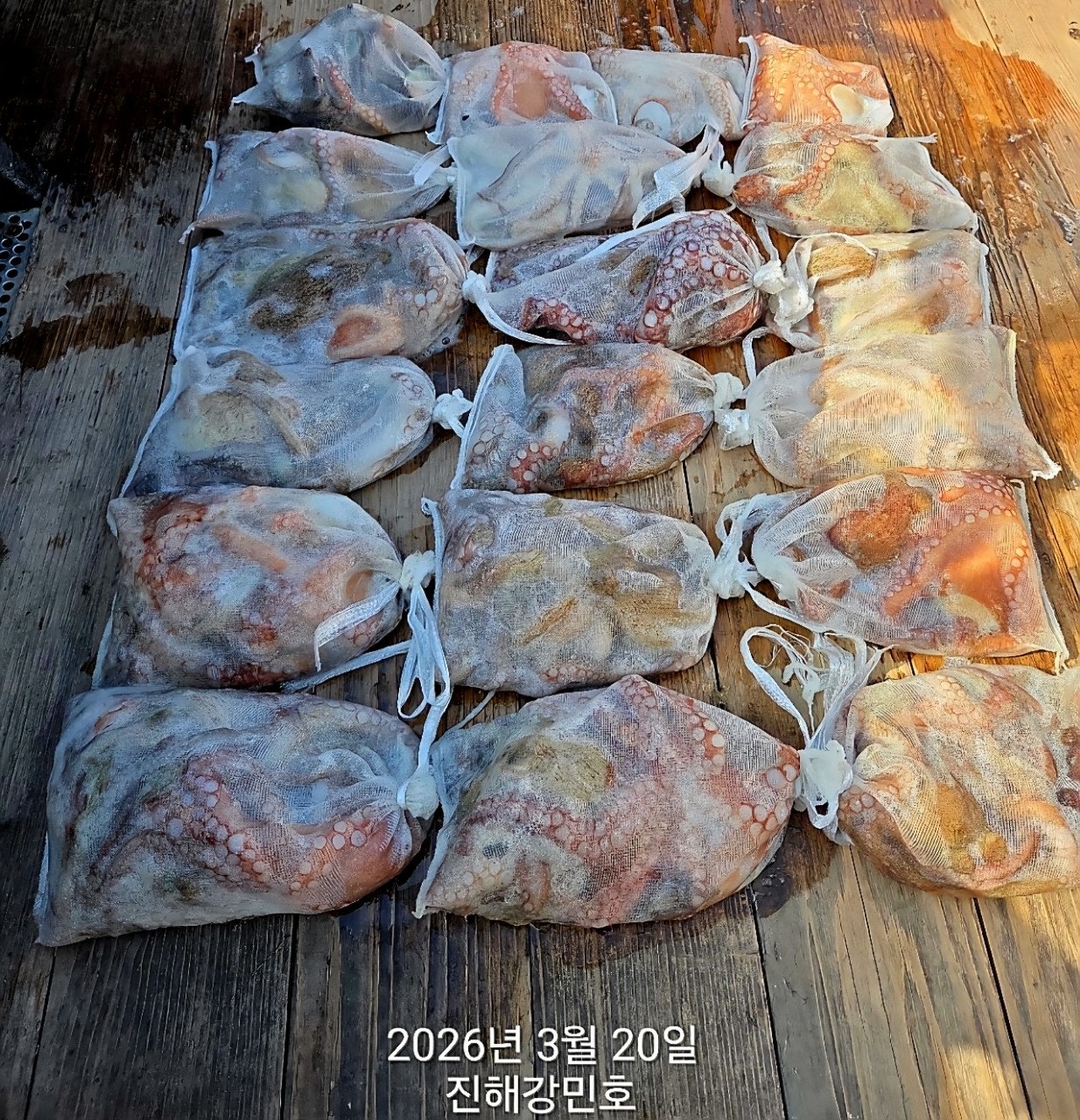 ����ڰ� �ø� �̹���