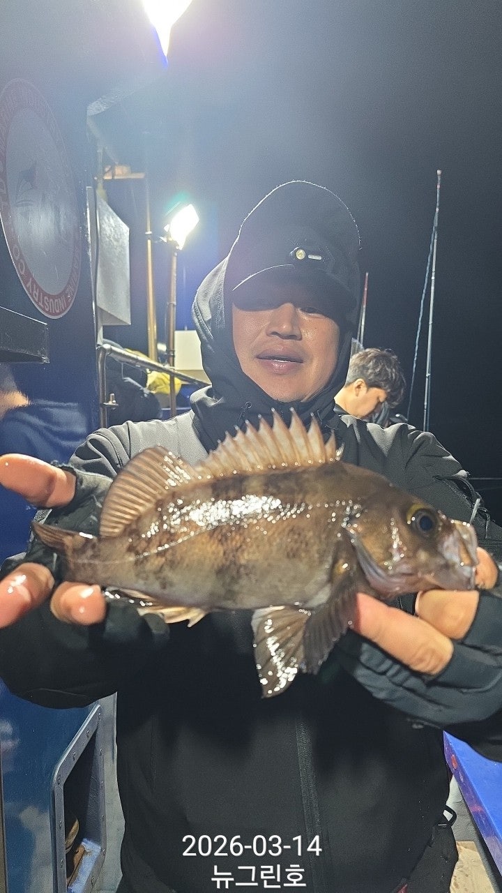 ����ڰ� �ø� �̹���