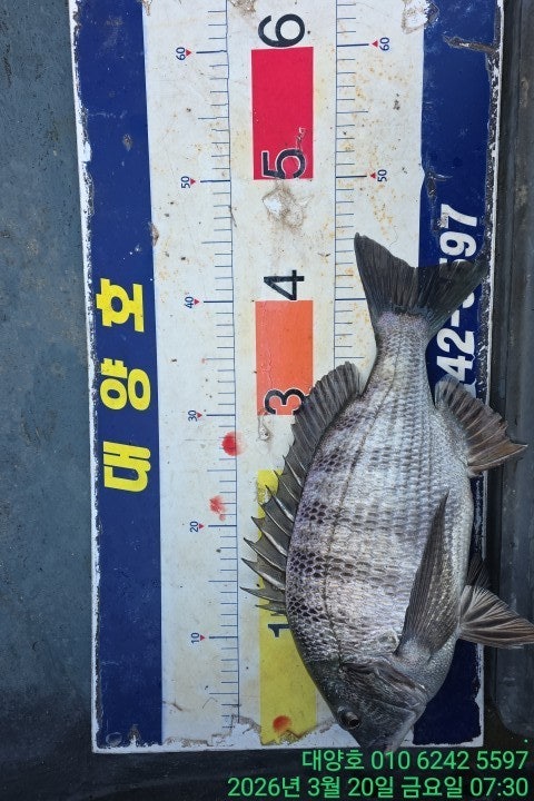 ����ڰ� �ø� �̹���