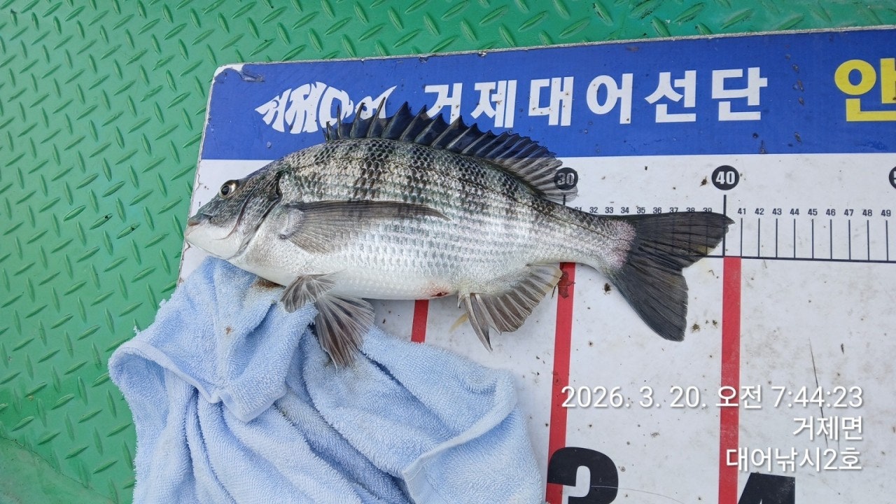 ����ڰ� �ø� �̹���