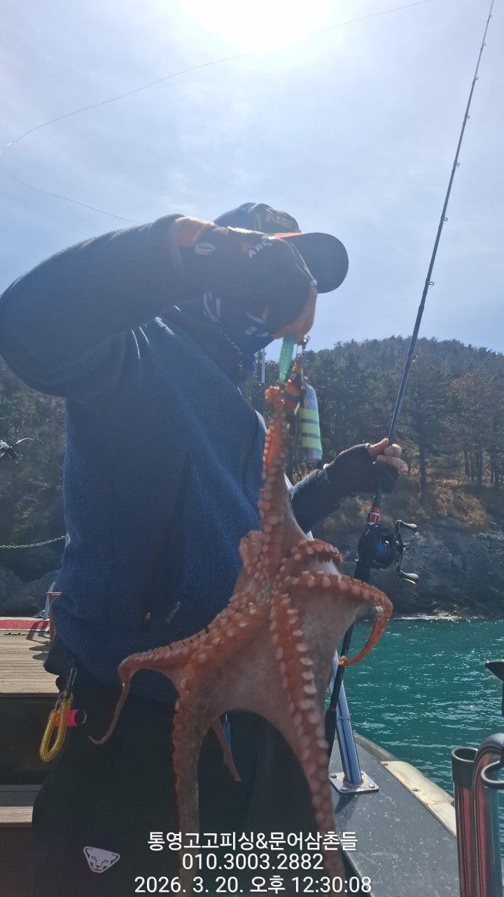 ����ڰ� �ø� �̹���