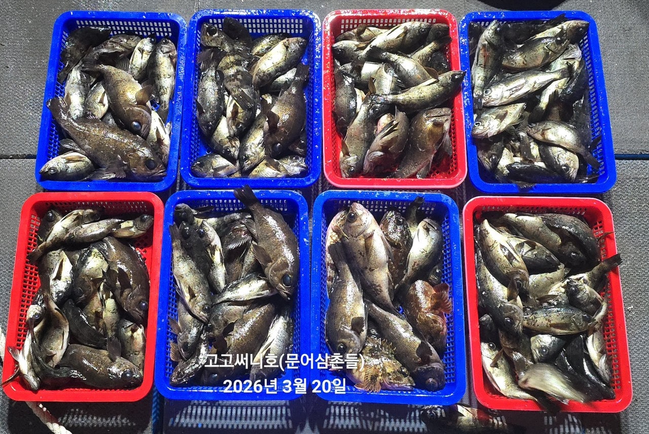 ����ڰ� �ø� �̹���