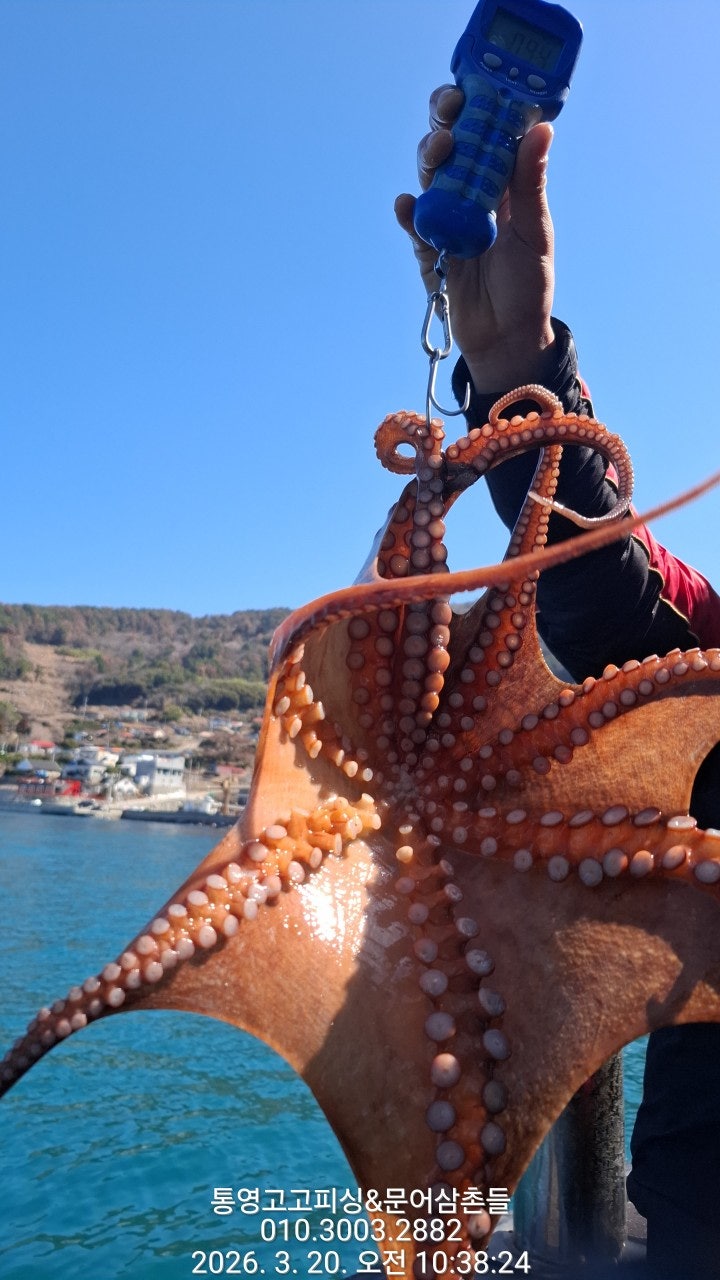 ����ڰ� �ø� �̹���