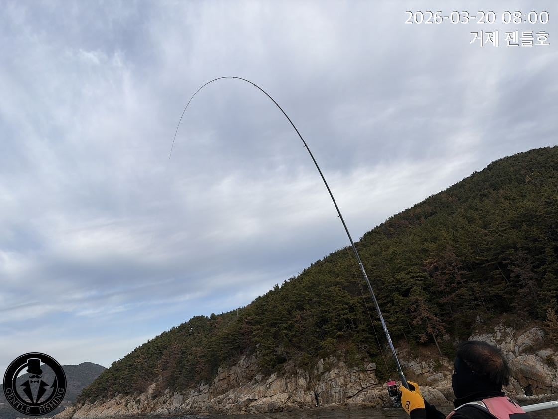 ����ڰ� �ø� �̹���