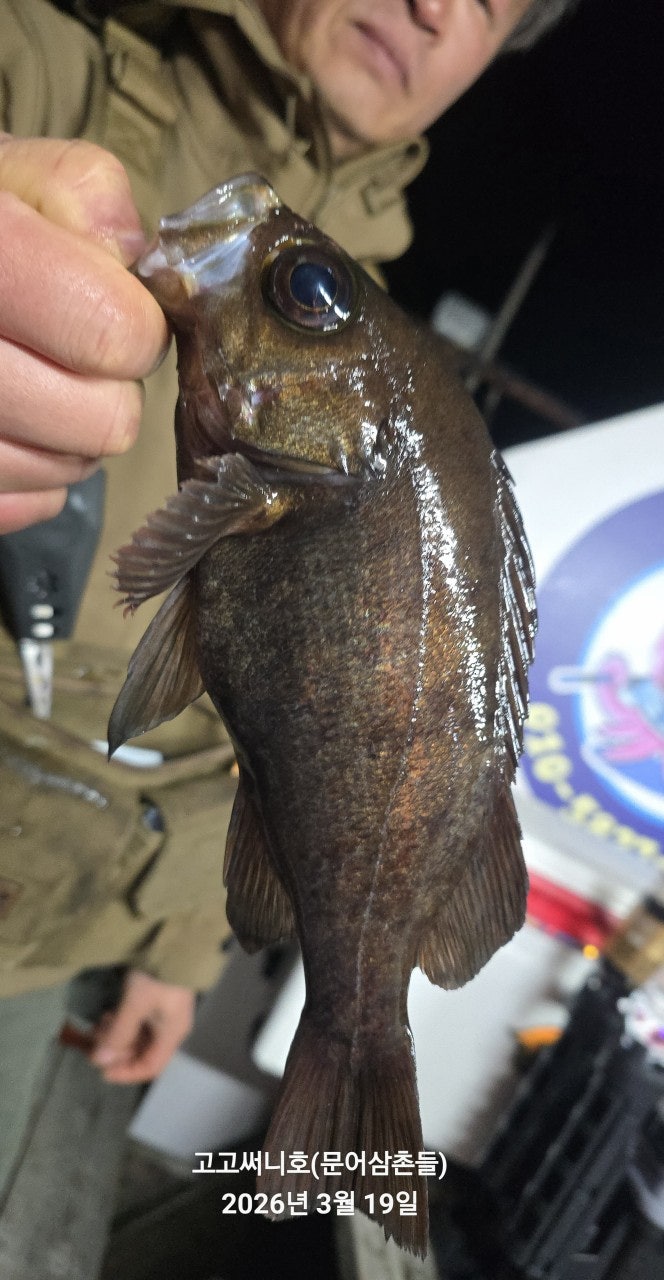 ����ڰ� �ø� �̹���