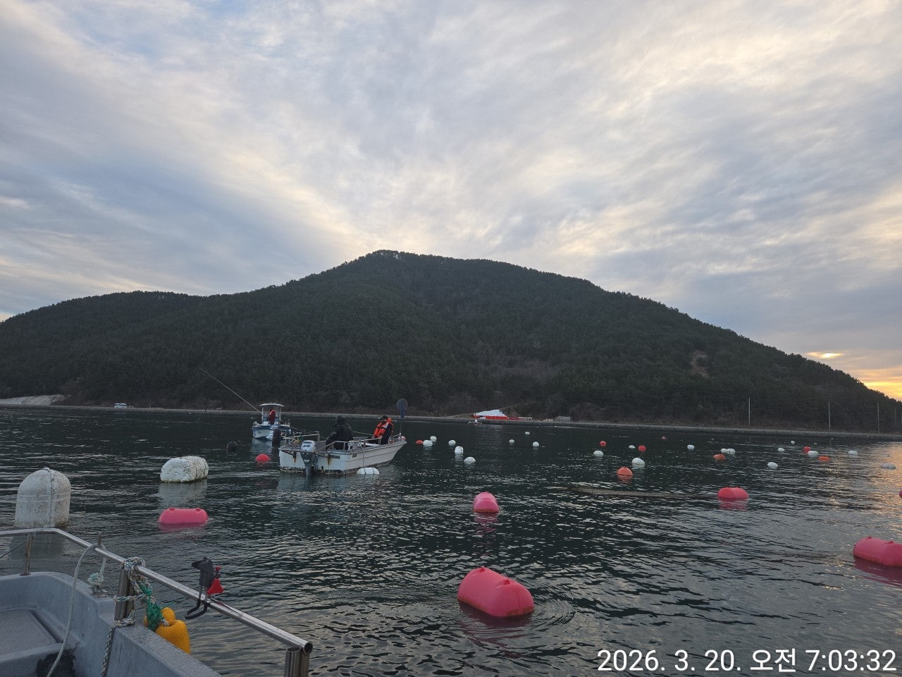 ����ڰ� �ø� �̹���