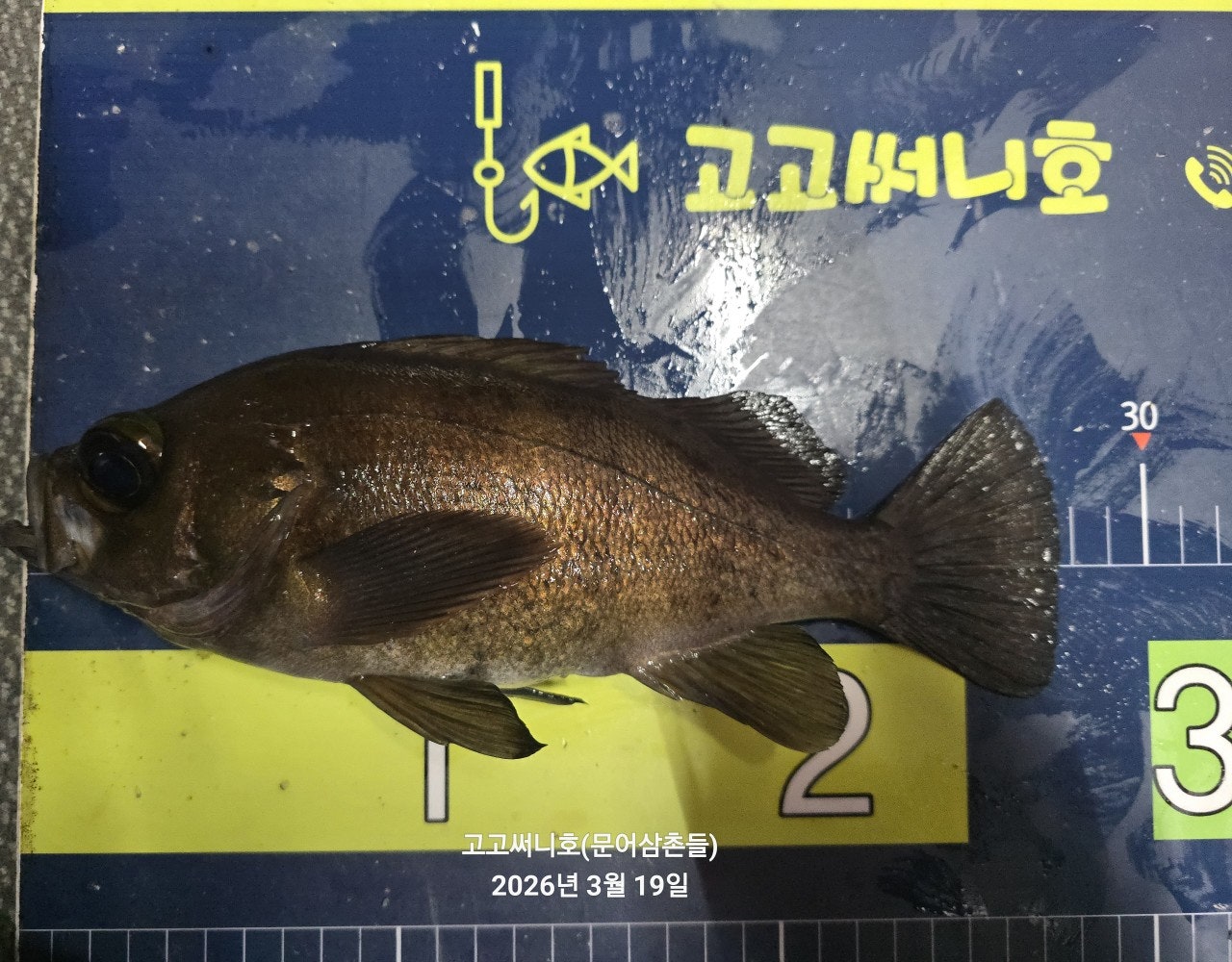 ����ڰ� �ø� �̹���