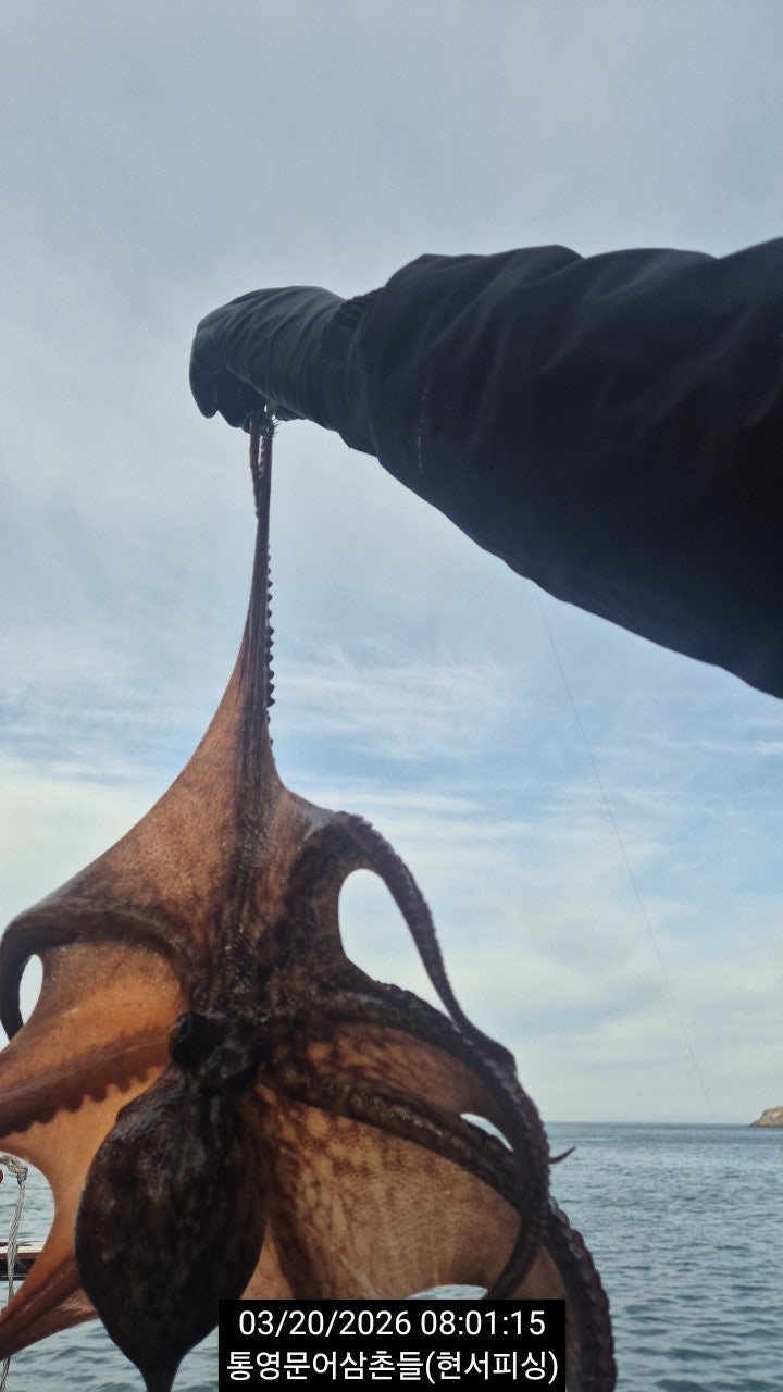 ����ڰ� �ø� �̹���