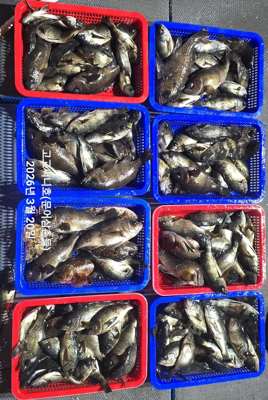 ����ڰ� �ø� �̹���