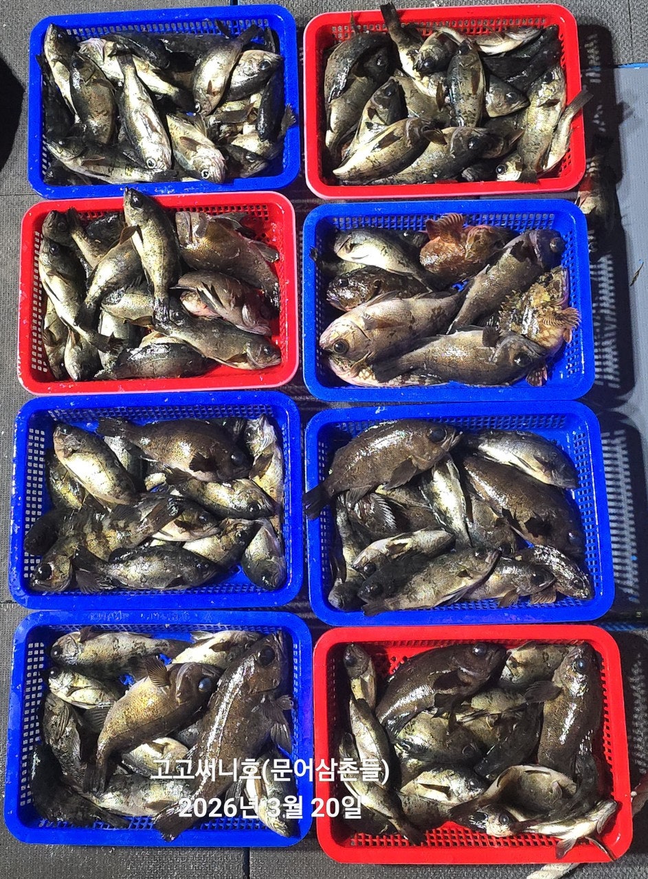 ����ڰ� �ø� �̹���