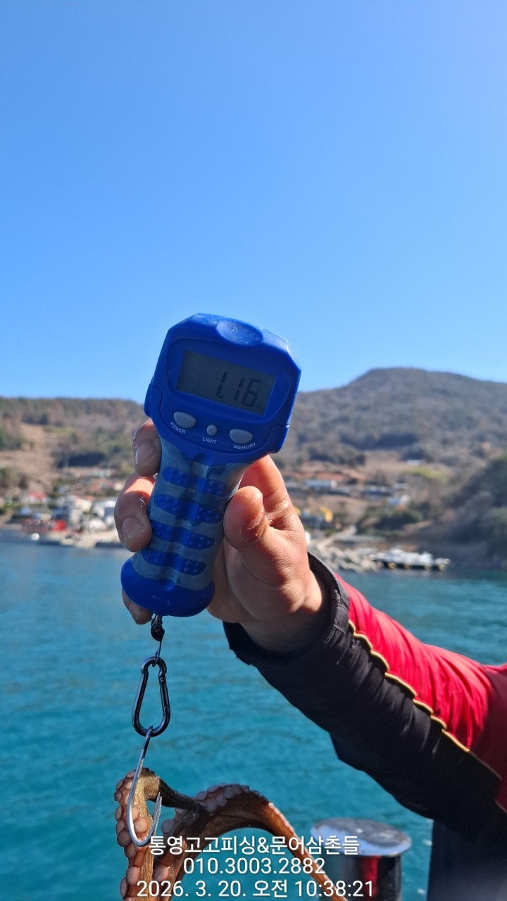 ����ڰ� �ø� �̹���