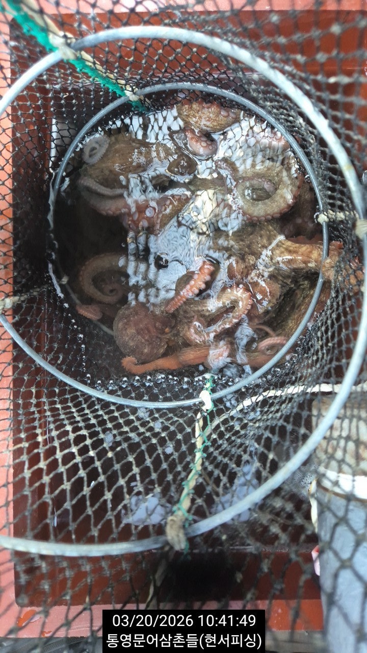 ����ڰ� �ø� �̹���