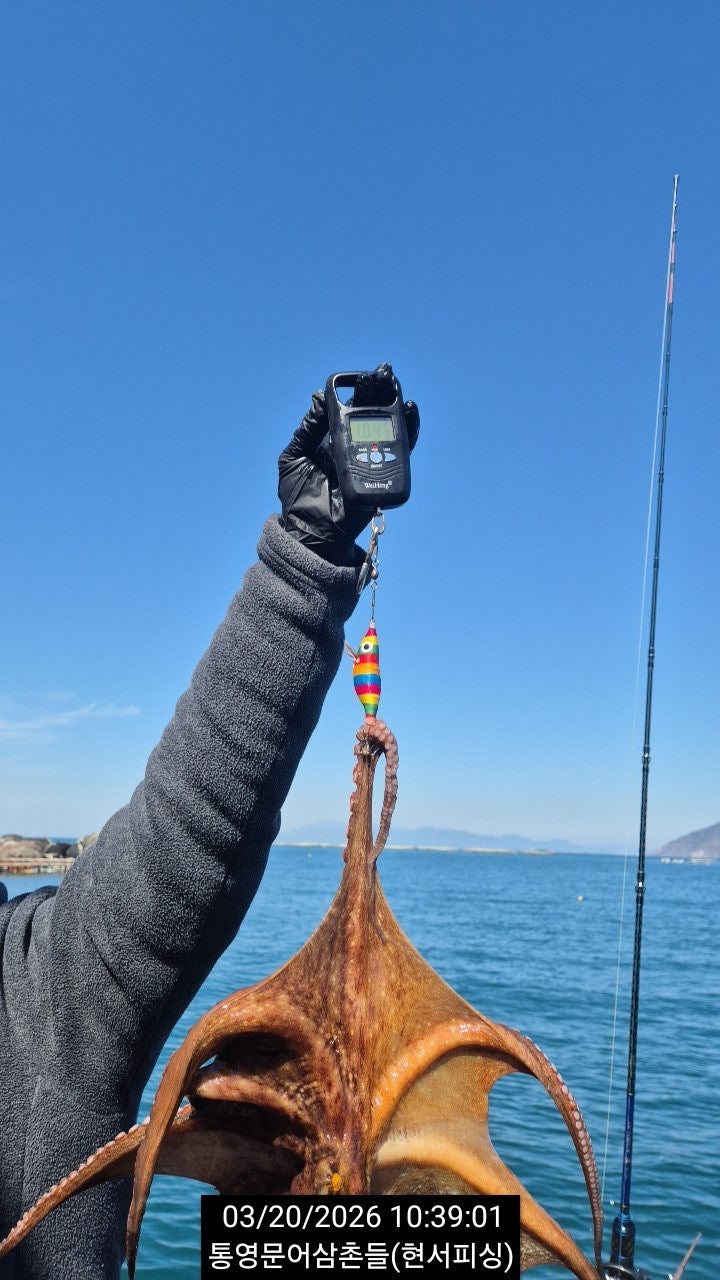 ����ڰ� �ø� �̹���