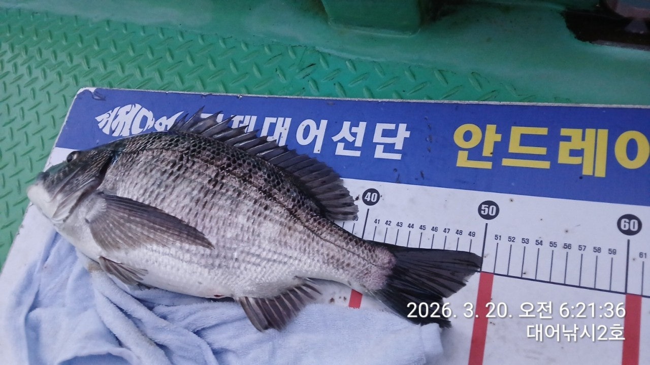 ����ڰ� �ø� �̹���