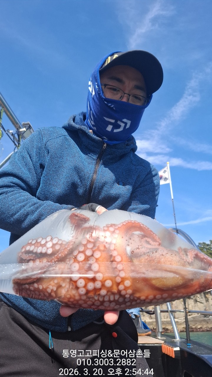 ����ڰ� �ø� �̹���