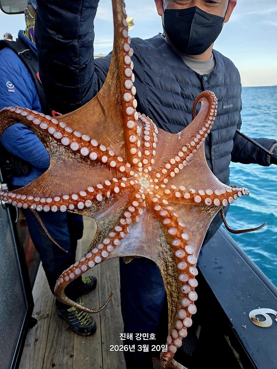 ����ڰ� �ø� �̹���