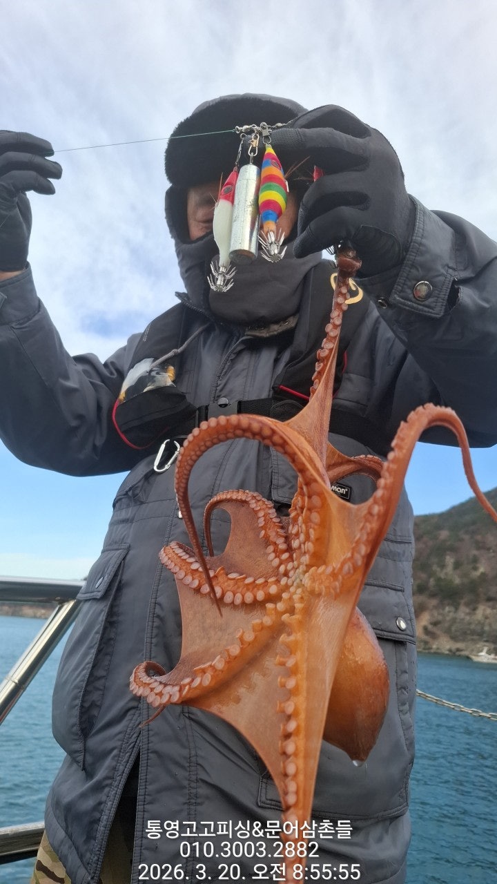 ����ڰ� �ø� �̹���