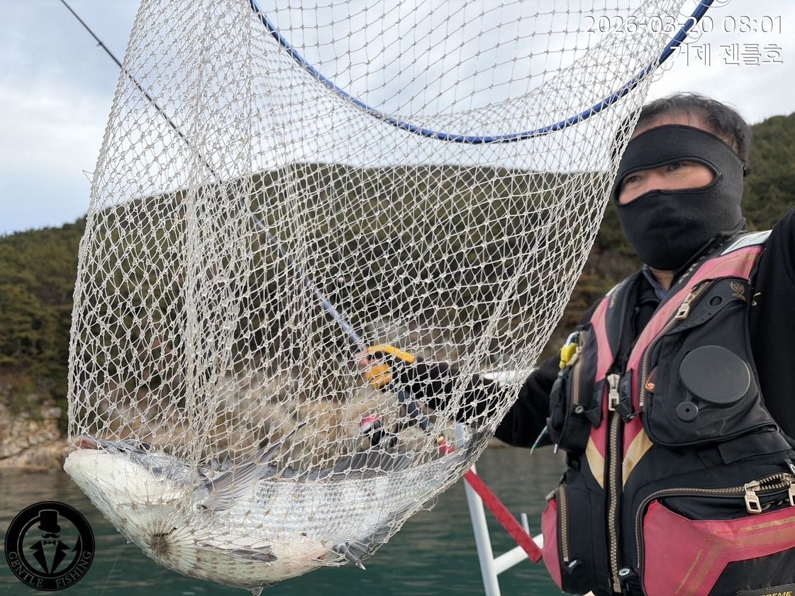 ����ڰ� �ø� �̹���