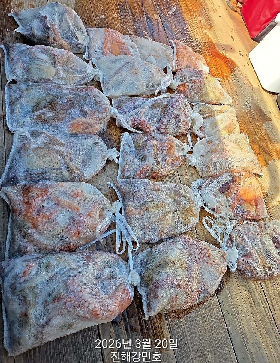 ����ڰ� �ø� �̹���