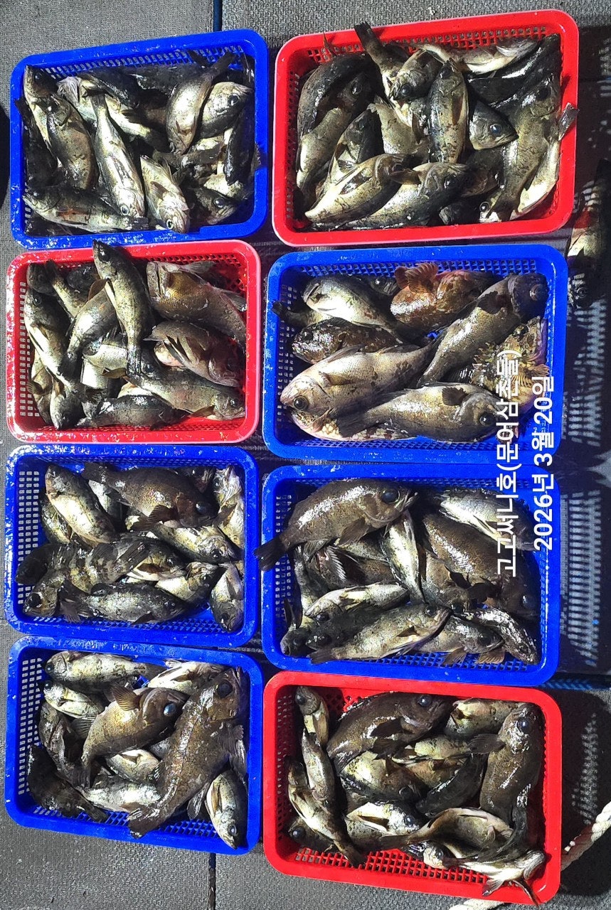 ����ڰ� �ø� �̹���