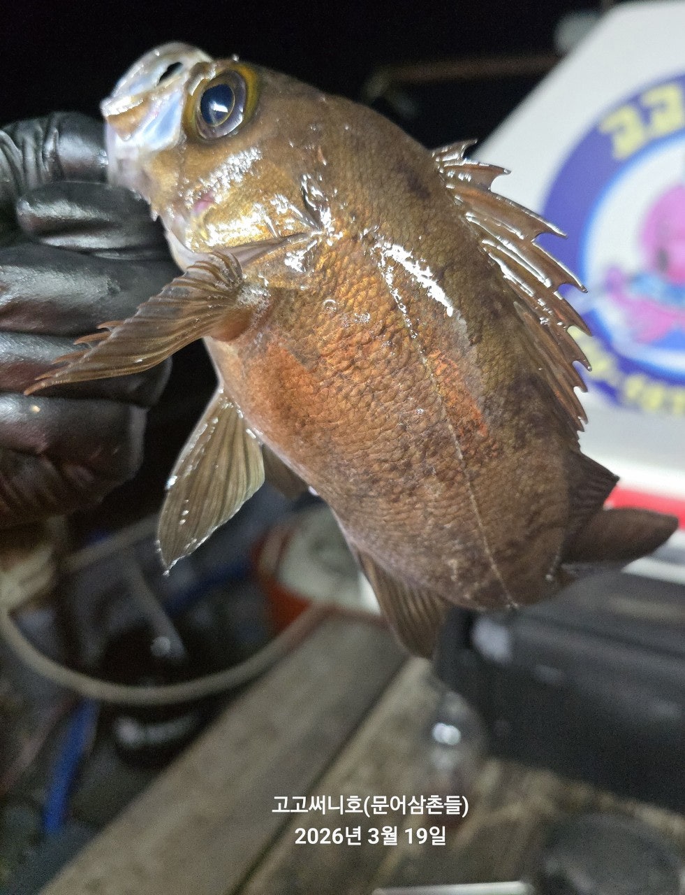 ����ڰ� �ø� �̹���