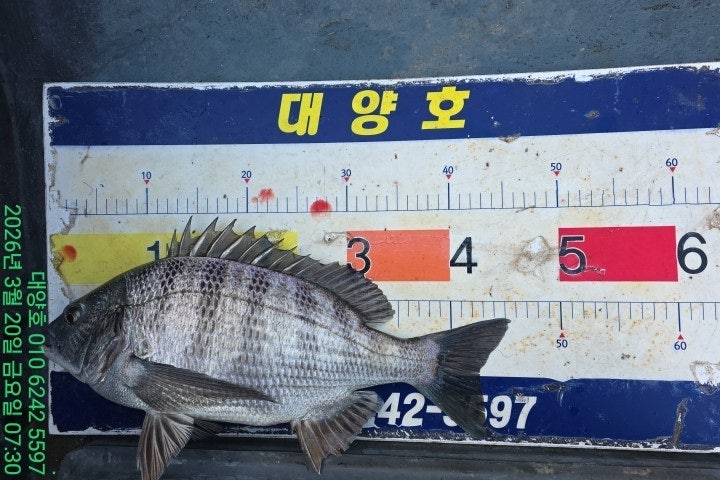 ����ڰ� �ø� �̹���