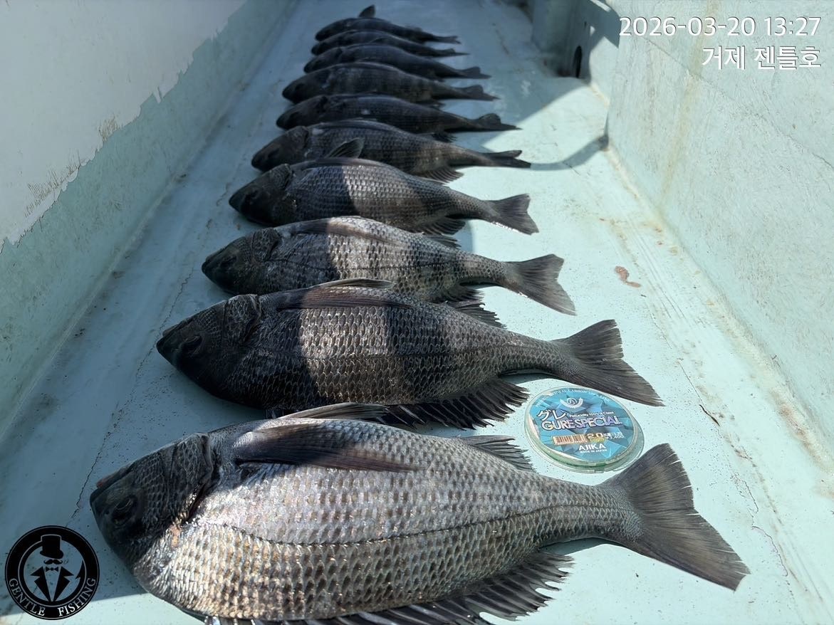 ����ڰ� �ø� �̹���