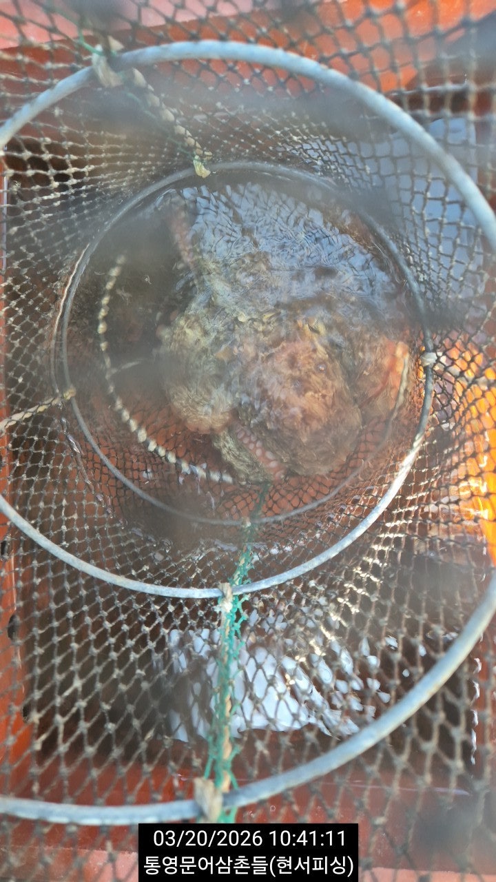 ����ڰ� �ø� �̹���