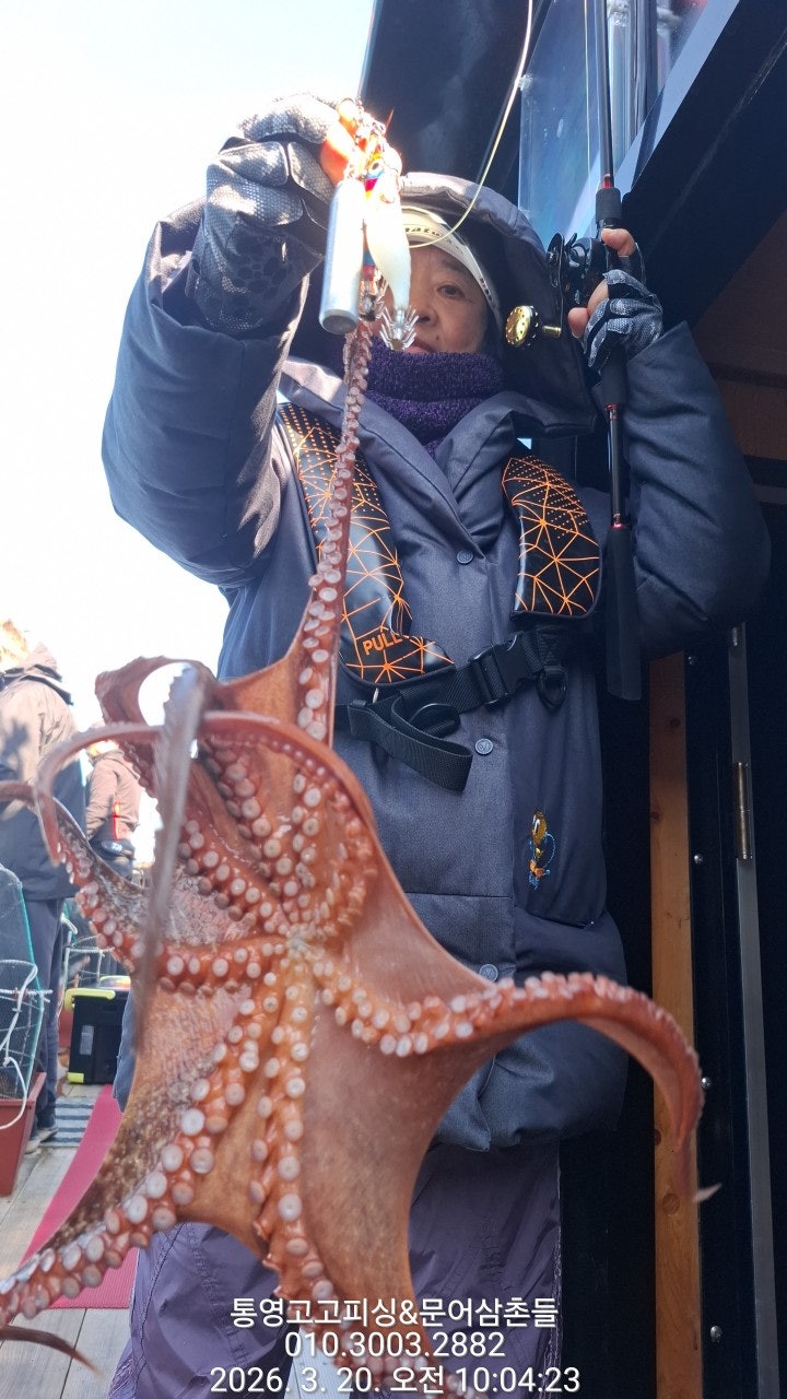 ����ڰ� �ø� �̹���