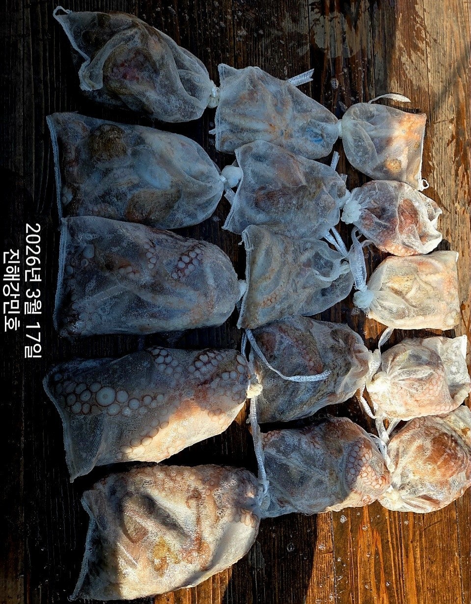 ����ڰ� �ø� �̹���