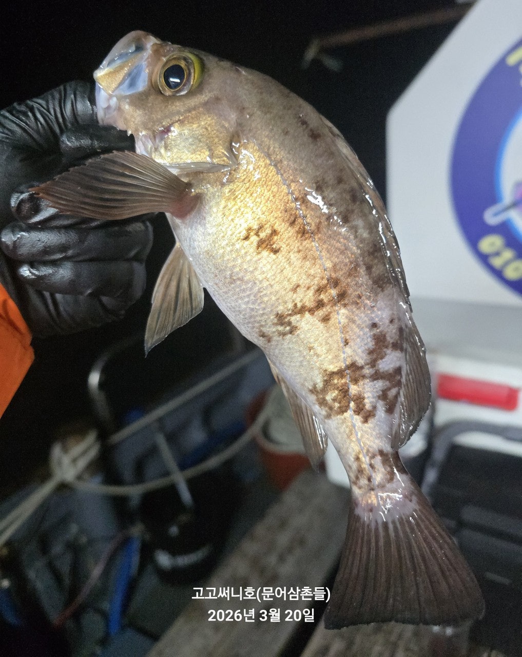 ����ڰ� �ø� �̹���