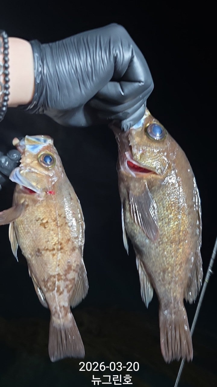 ����ڰ� �ø� �̹���