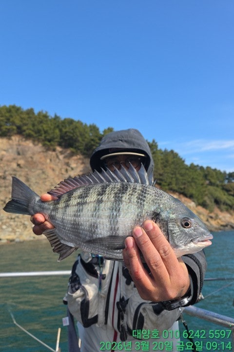 ����ڰ� �ø� �̹���