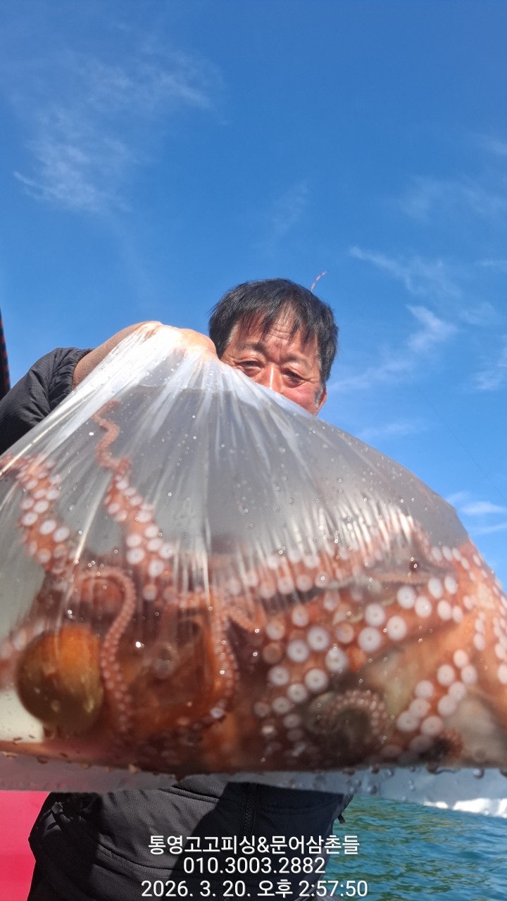 ����ڰ� �ø� �̹���