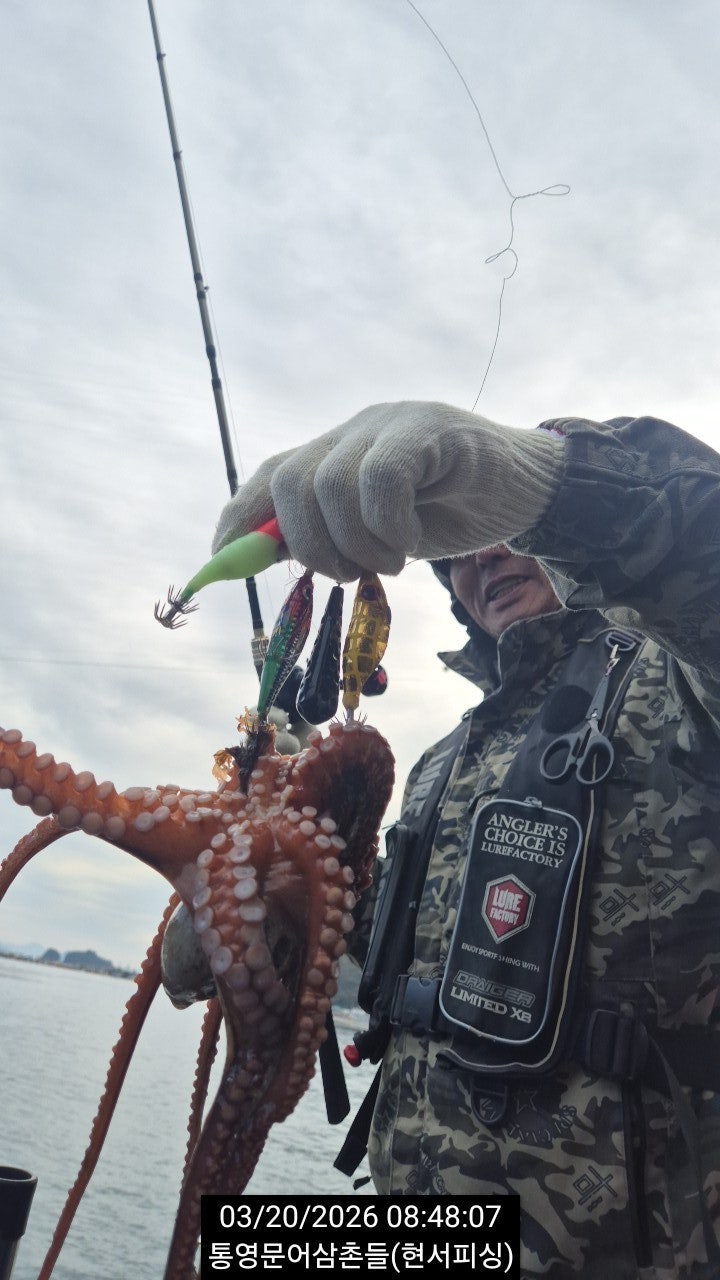 ����ڰ� �ø� �̹���