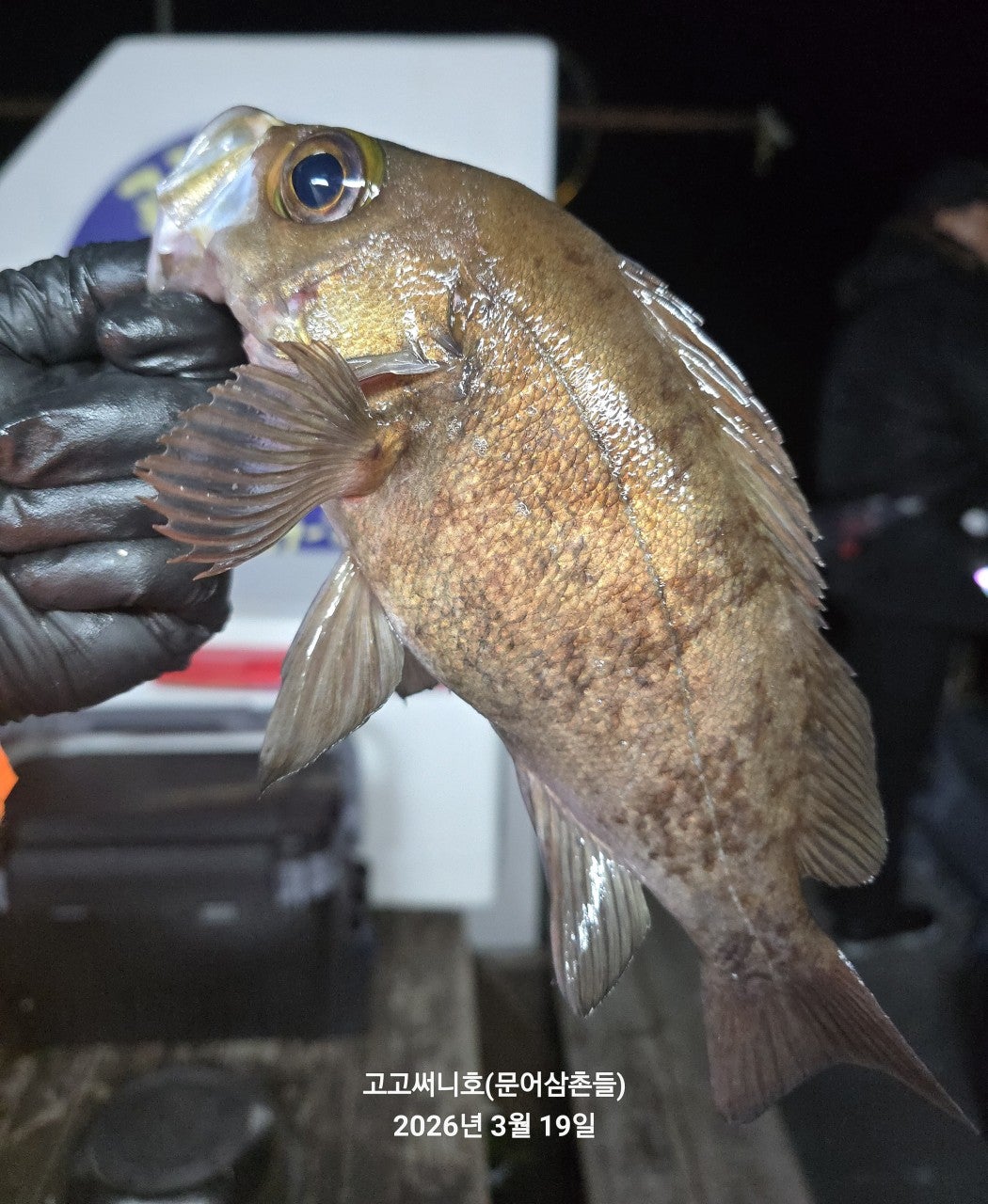 ����ڰ� �ø� �̹���