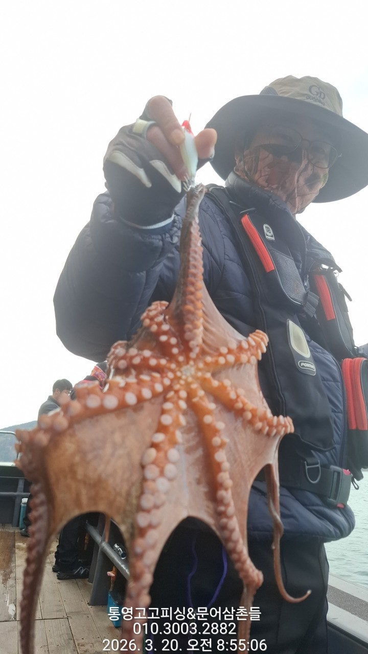 ����ڰ� �ø� �̹���