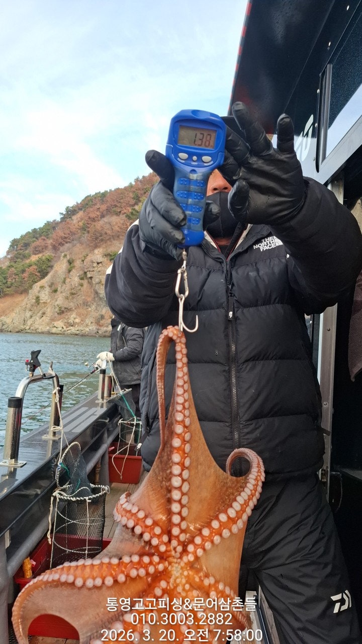 ����ڰ� �ø� �̹���