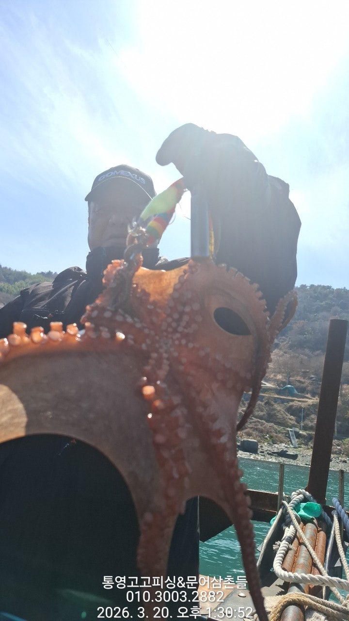 ����ڰ� �ø� �̹���