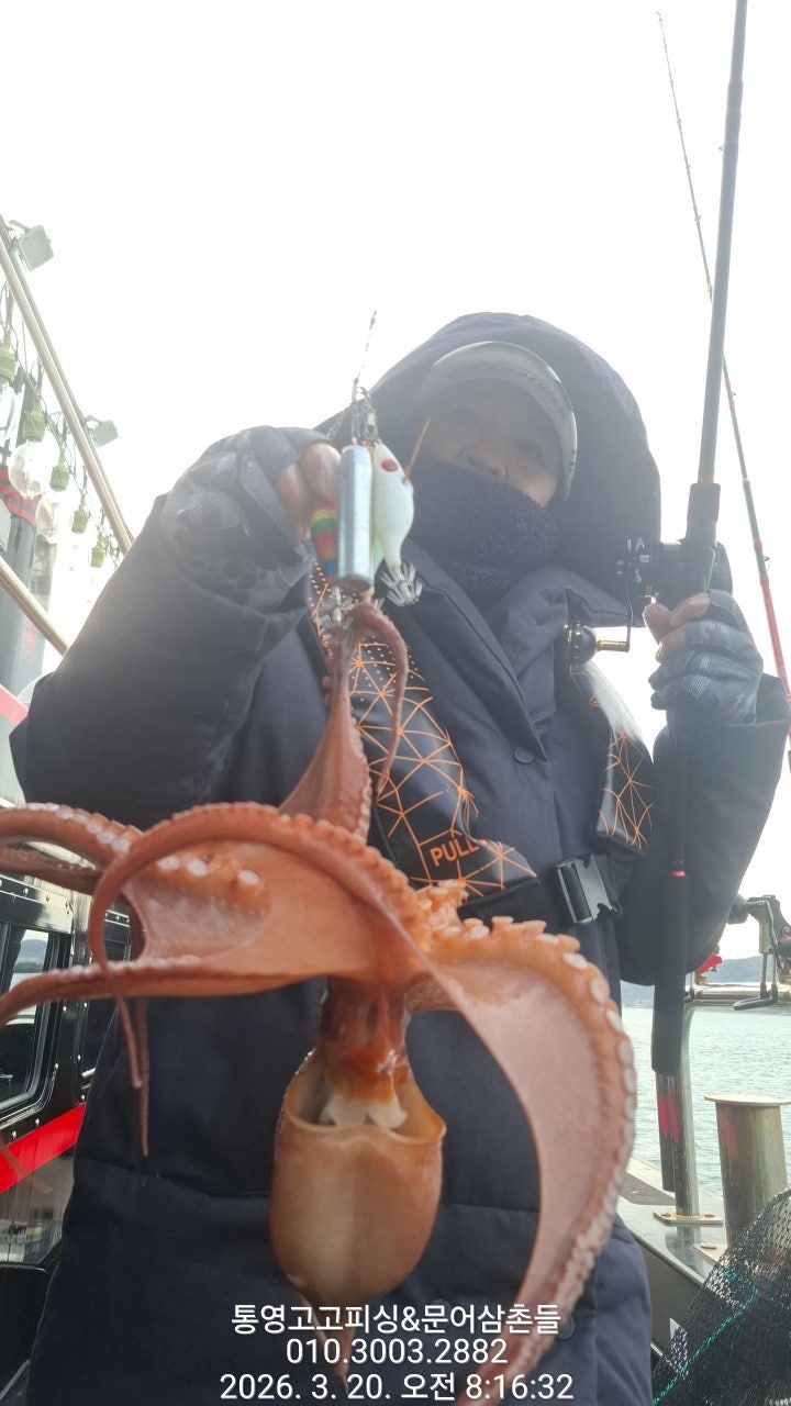 ����ڰ� �ø� �̹���