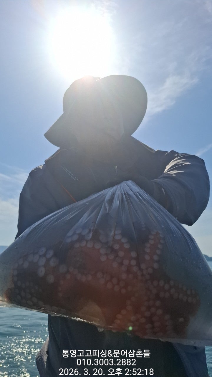 ����ڰ� �ø� �̹���