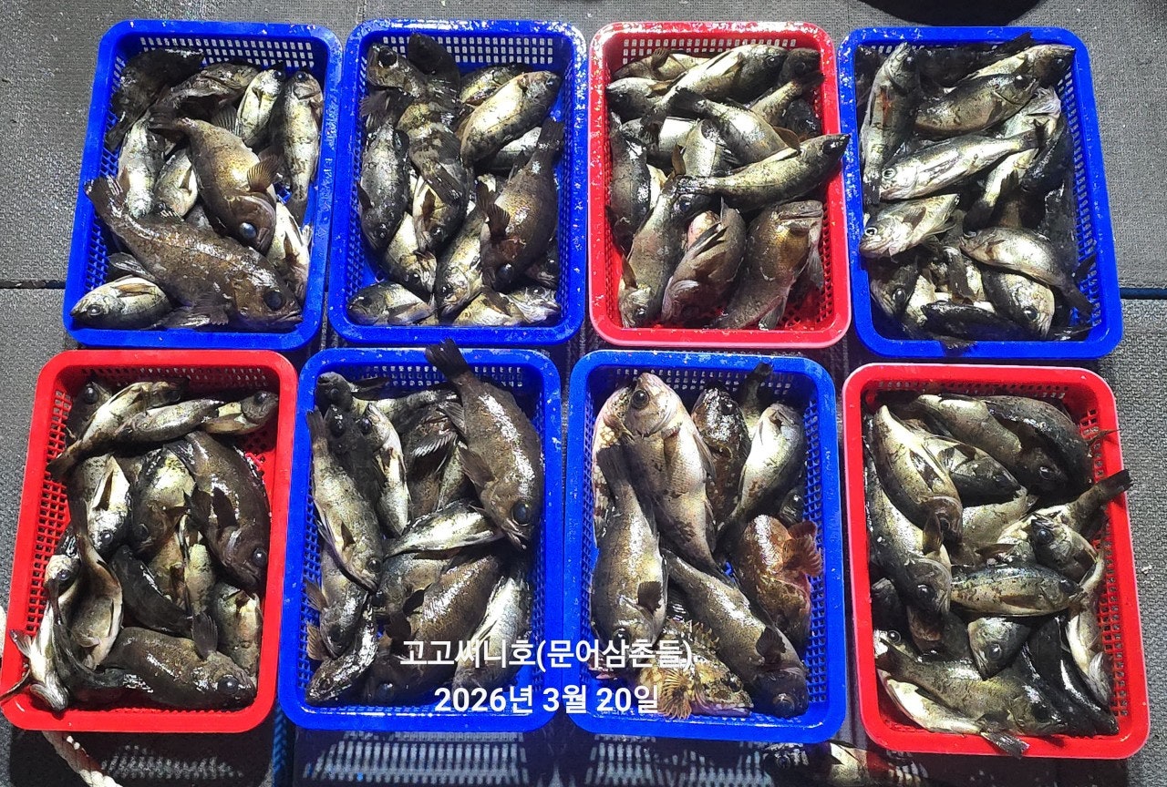 ����ڰ� �ø� �̹���