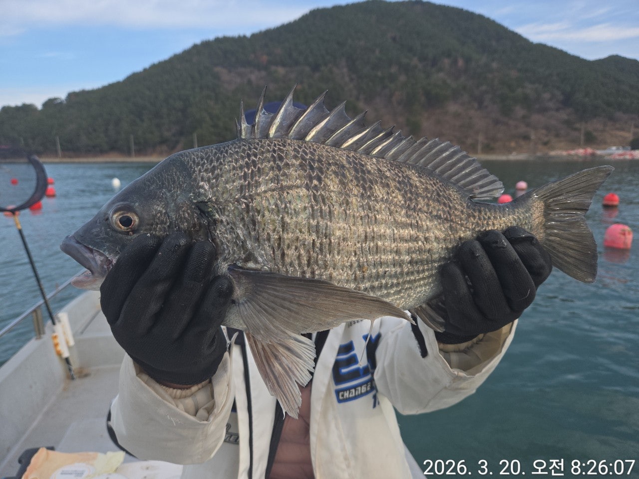 ����ڰ� �ø� �̹���