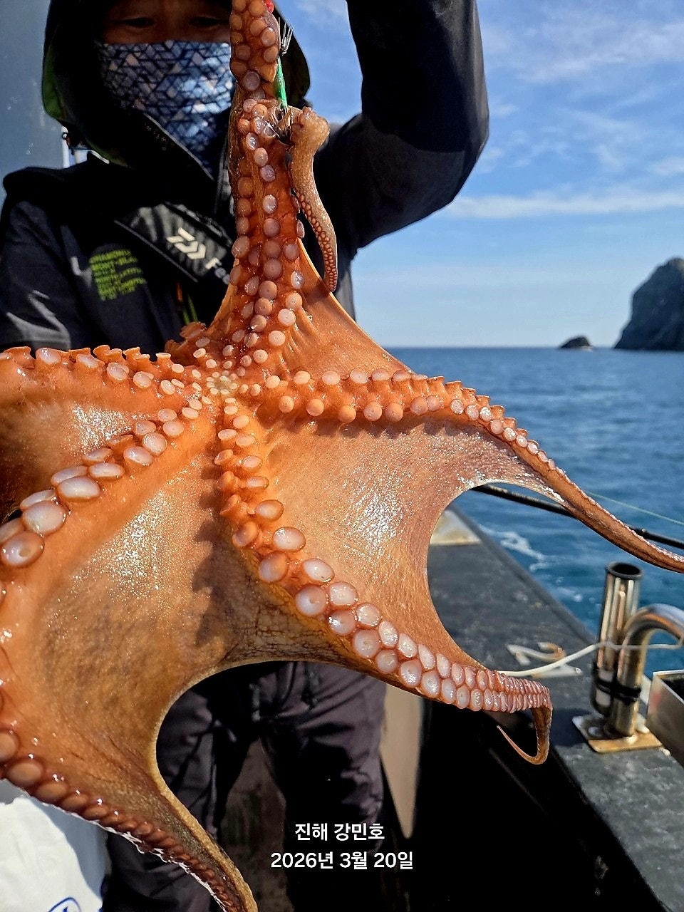 ����ڰ� �ø� �̹���