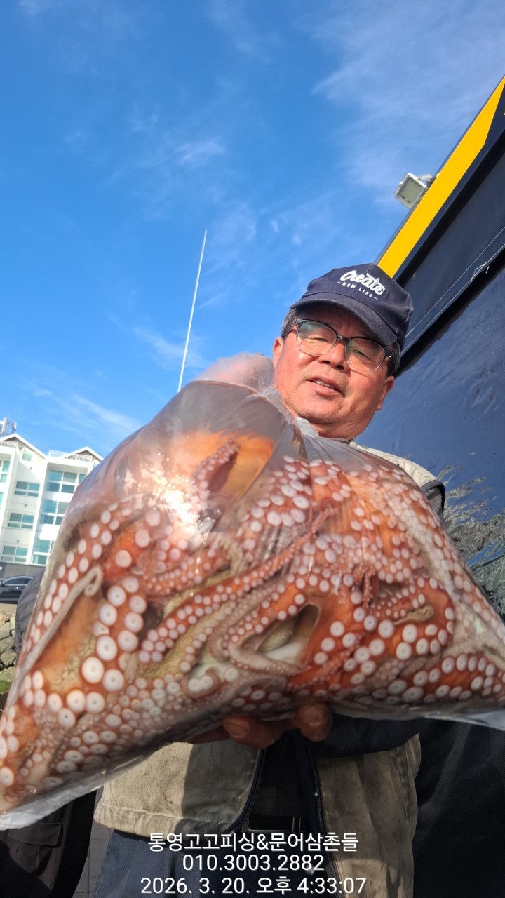 ����ڰ� �ø� �̹���